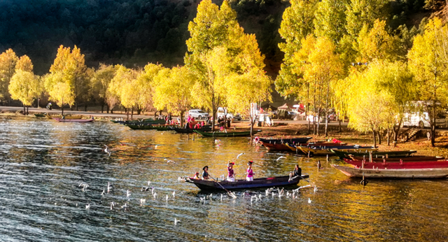 冬季暖阳 凉山不凉 | 彩林与暖阳的双向奔赴