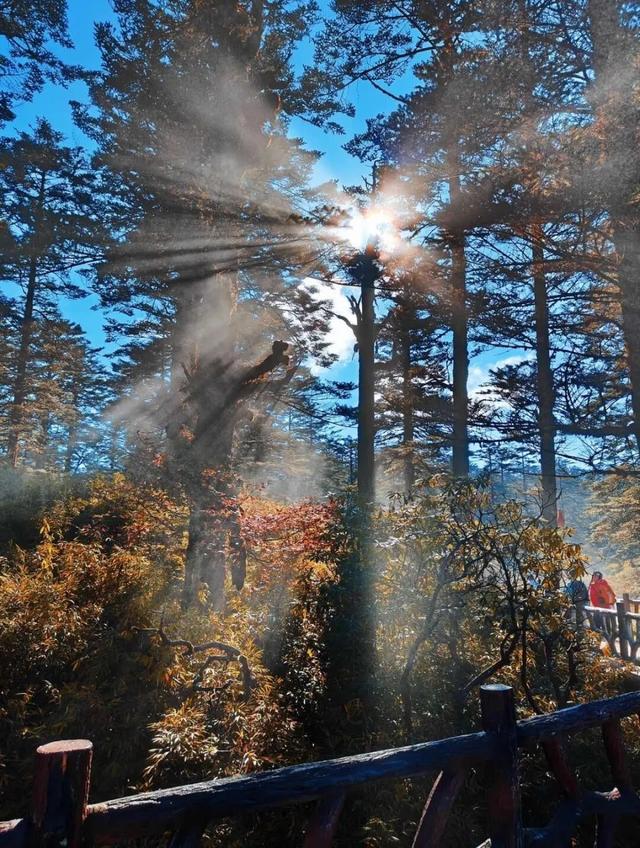 秋天徒步去哪儿？必须来趟【免门票】的瓦屋山！