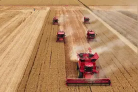 科技赋能 潍柴雷沃让三夏生产更有“数”图片