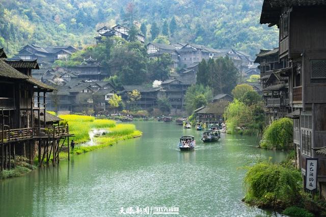 春山爽居 花海畅游|首个春假去哪儿玩?来乌江寨找到属于自己的春天