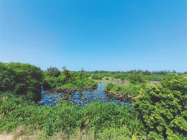 山海黎乡有何圈粉密码？