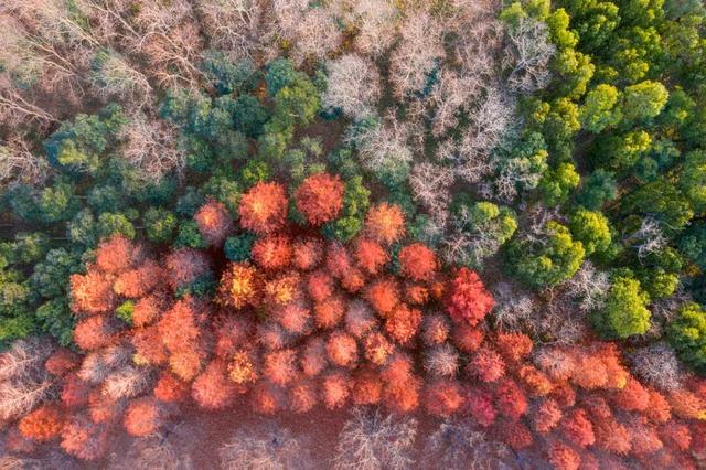 太仙了！美到巅峰！这个周末，又要人人人啦~