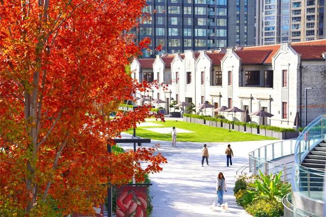 通往秋天！上海市区绝美枫叶扶梯上线→