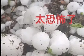 四川青川县遇冰雹天气，持续近10分钟，市民：汽车前后窗玻璃被砸烂，吓得腿直抖图片