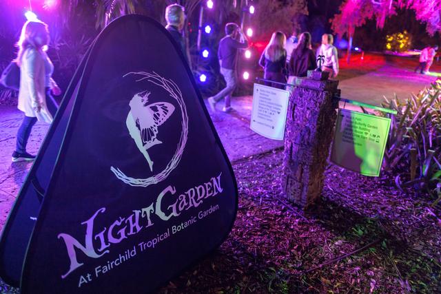 （外代二线）“夜间公园”灯光秀