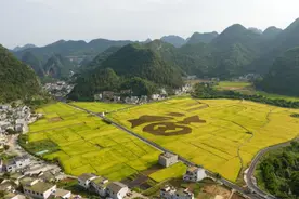 解码建行助力乡村振兴“方法论”图片