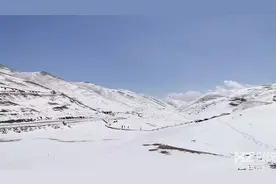 突降大雪！会泽大海草山的世界变得柔软了图片