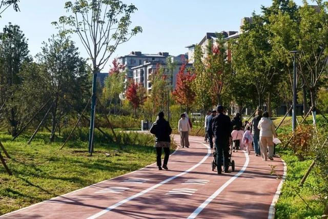 北京公园上新！又大又美还免费！