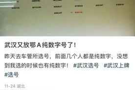 鄂A纯数字车牌又开始大量发放了？回应：过户或报废车辆车牌会重新投放到号池图片