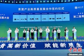 青蒿产业高质量发展大会在渝举行 专家学者共话青蒿未来图片