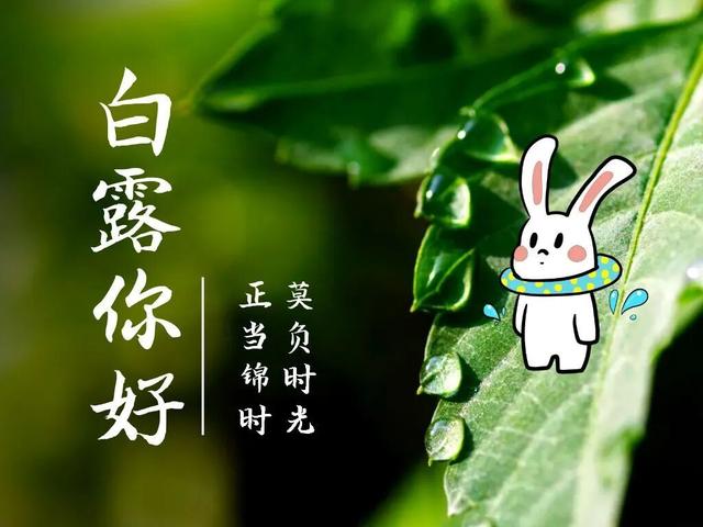 上海降水降温天气即将来袭