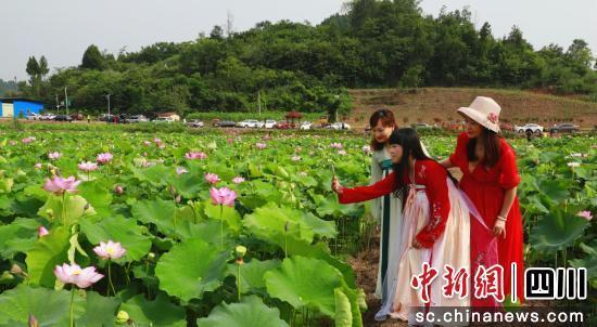 西充：以“红绿彩”三色为核心 打造特色文旅品牌