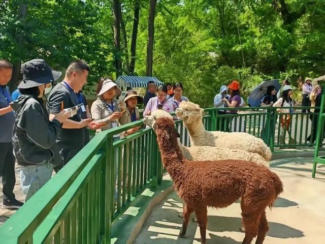 最低不到二十元！郑州出发坐火车避暑好去处→