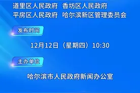 约会哈尔滨 冰雪暖世界丨2024-2025年哈尔滨冰雪季系列主题新闻发布会（第四场）将于12月12日10时30分举行图片