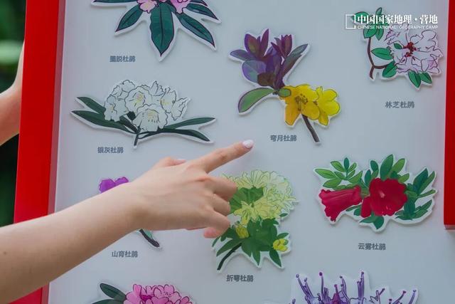 墨脱自然导览系统，一条重回天地自然的科学游径