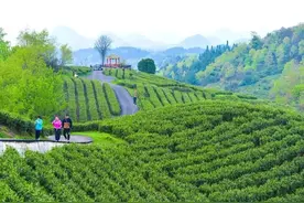 亲子欢乐游、人文风情探秘！观山湖区喜好线路来了图片