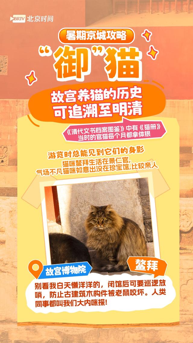 周末怎么过？和北京的“网红动物”一起过！