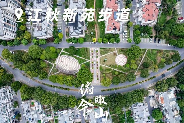 俯瞰佘山，解锁观景新视角