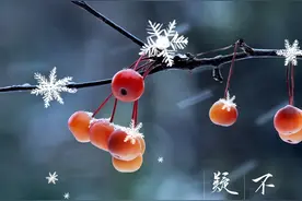 今日小雪｜片片雪花是冬日无声的芳菲，一起把诗词画在中华大地上！图片