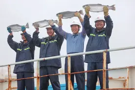 海报新观察丨初夏“海上粮仓”丰收！日照蓝色经济持续“上新”图片