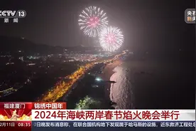 同放烟火 两岸同胞共庆新春！海峡两岸春节焰火晚会举行图片