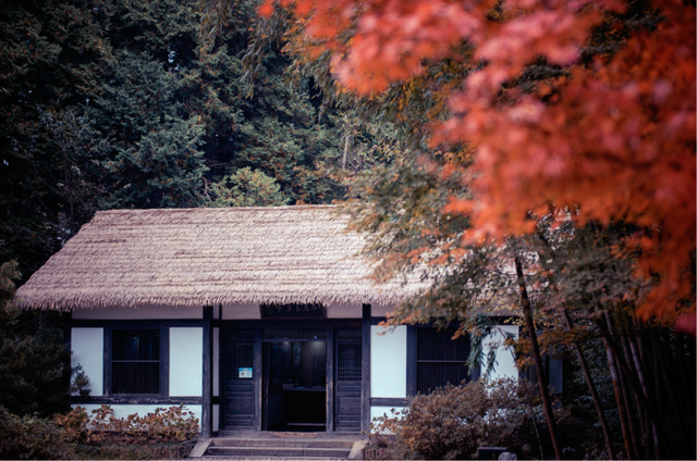 如画江西 ，“枫”景独好！