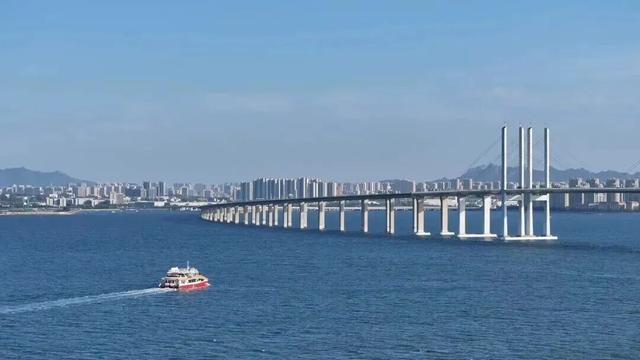 不如就来青岛过冬天！观鸥、看海、泡温泉……一起玩转山海