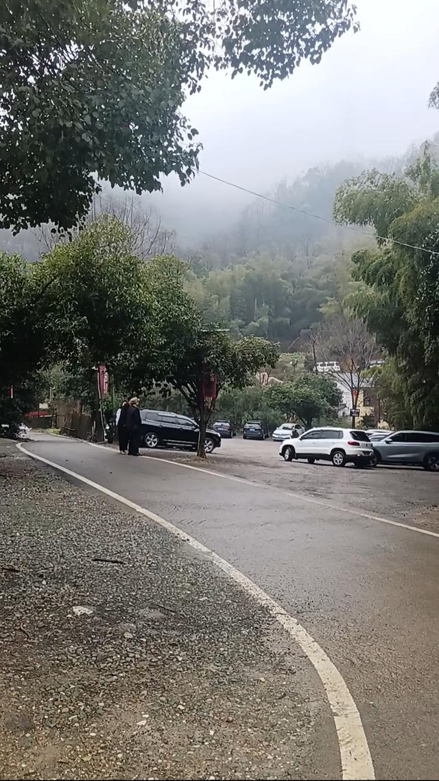 长沙一网红野爬山地发现响尾蛇？专家辨认系有毒的短尾蝮，当地提醒：不要随意登野山！