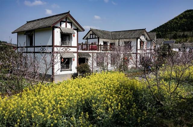 看国际木偶戏，游烟火西充！