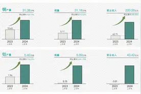 洛阳钼业2024年上半年营业收入超千亿元 全年铜产量大概率突破57万吨图片