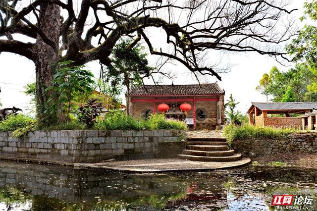 跟着网友游桂林丨大圩镇上桥村：水墨般的古村，藏着你向往的宁静