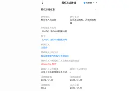 哪吒汽车创始人被冻结1986万元股权，连续两个月未公布月销量｜大鱼财经图片