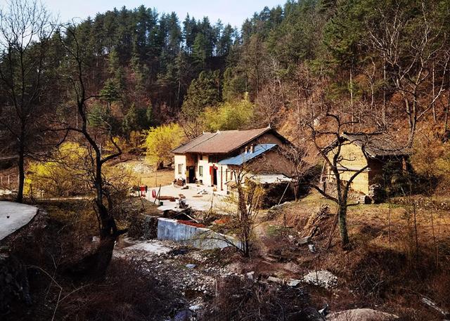 陈仓：文学小屋