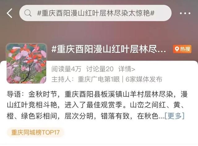 重庆秋色“天花板”火了！最快1小时飚拢！