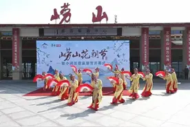 曾是“青岛十景”！登瀛梨雪，百年梨树绽放崂山花朝节图片