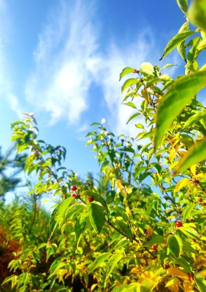 陕西靖边银湾“果子沟大桥”：黄土高原上的公路诗，解锁秋日文旅新地标