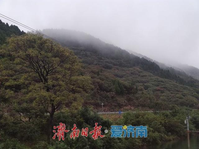烟雨九龙山 宛若水墨仙境