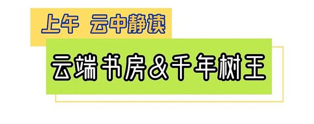 一起“森”呼吸！假期在福州开启绿野仙踪副本