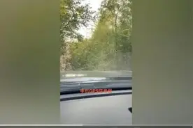 北青快评 | 发导航假视频构成商业诋毁是一记法治警钟图片