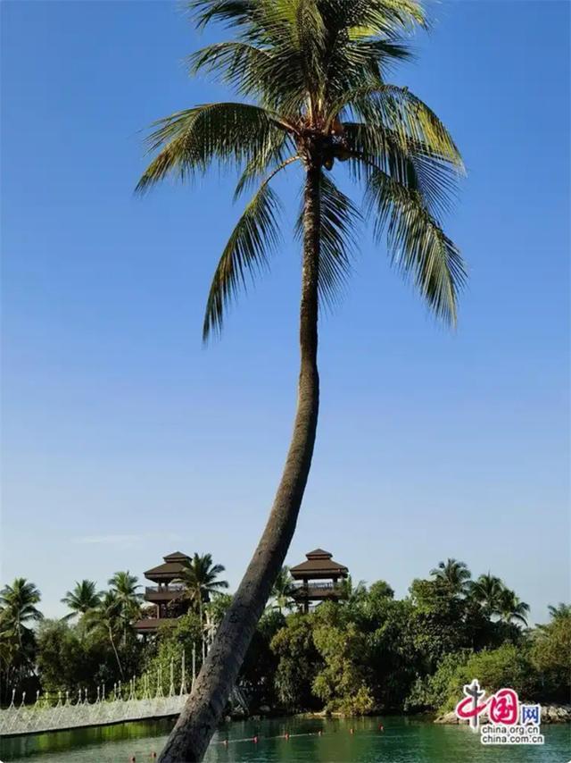 高舜礼：苏州园区或应借鉴新加坡旅游发展(图)