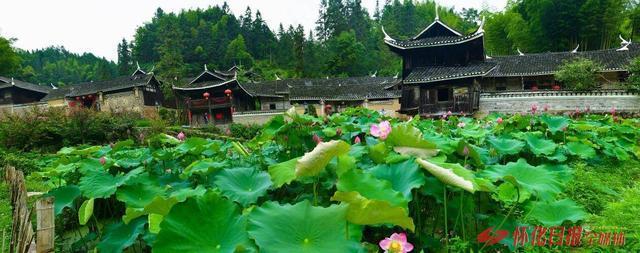 世界那么大好想去怀化丨湛湛秋水兮上有枫——溆浦赏秋系列文旅活动吸引八方游客