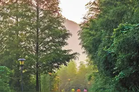 220公里！“两山”绿道串起小城诗意生活图片