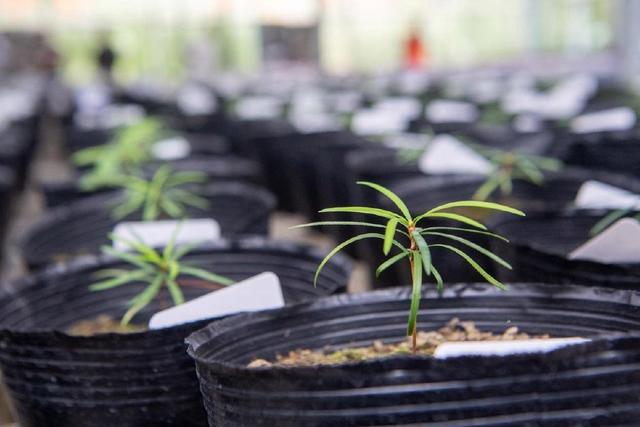 央媒看重庆｜南川：科技赋能生物多样性保护