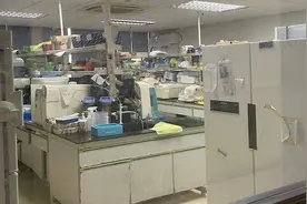 实验室致癌风险到底有多高？专家提醒重视实验室安全管理图片