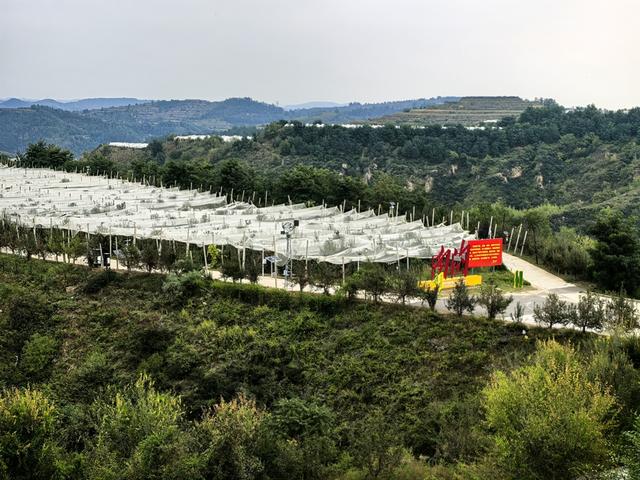 纪实｜李彦：好男好女好河山