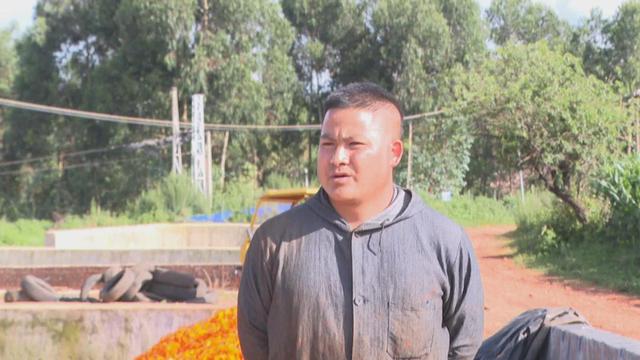 弥勒这花海美景又上线了！产值数千万元