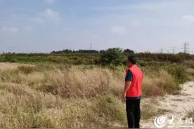 潍坊寒亭：开元街道推进秋季秸秆禁烧工作走深走实图片