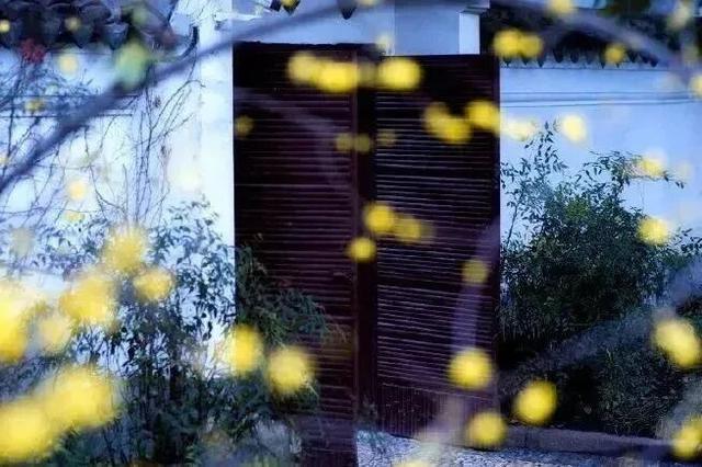 第一波开好了！来无锡邂逅冬日“梅”景