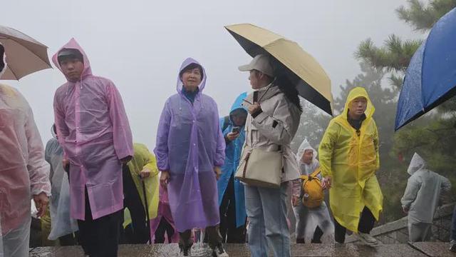 四十七年后著名主持人敬一丹再登泰山 “人生需要仪式感”