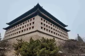 报春了，梅花为何“偏爱”北京这里？图片